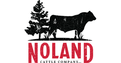 Noland — logo & brand identity by BDX Omaha